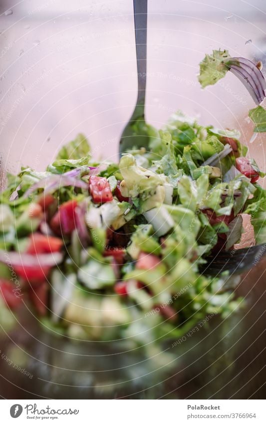 #A# Salatschüssel Salatbeilage Salatgurke Salatblatt Salatblätter grün Lebensmittel Farbfoto Ernährung Diät Gesundheit frisch Vegetarische Ernährung Gemüse