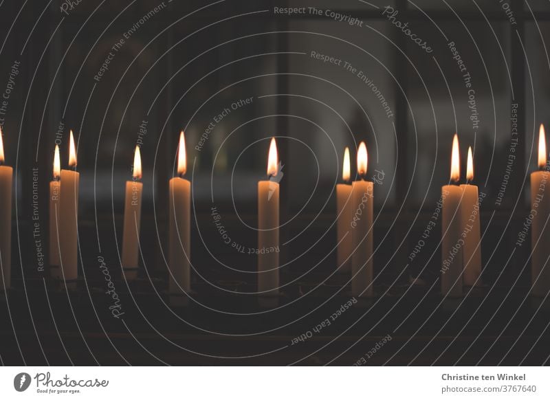 brennende Kerzen an einem Kerzenaltar in einer Kapelle Religion & Glaube Liebe Hoffnung Trauer Gedenken Gebet Kirche Christentum Licht Kerzenschein erinnern