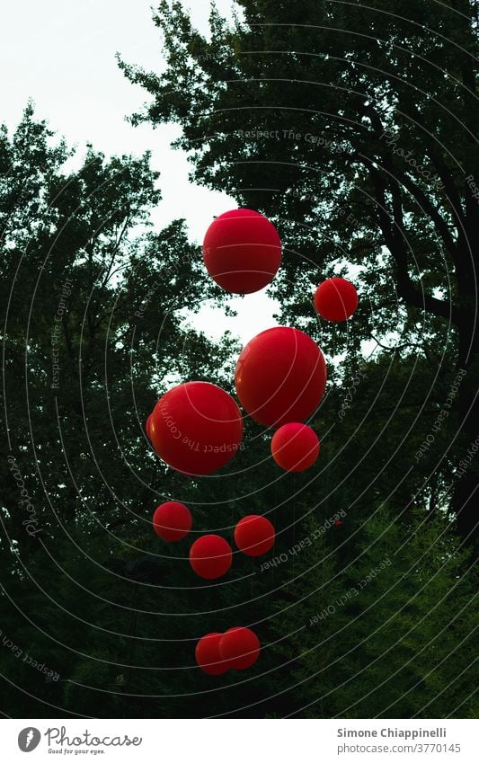 Rote Luftballons am Himmel Ballon Außenaufnahme rot Farbfoto Party Feste & Feiern Freude Dekoration & Verzierung grün Natur