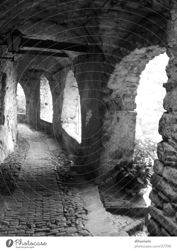 archi II Licht historisch Architektur Bogen Schatten Shcwarz-weiß Gang