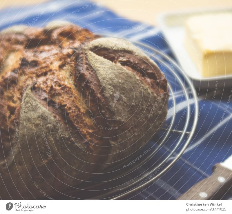lebensnotwendig | unser täglich Brot...   frisch gebackenes Brot liegt auf einem Auskühlgitter Brotlaib frisches Brot Weizen selbstgebacken lecker duftend