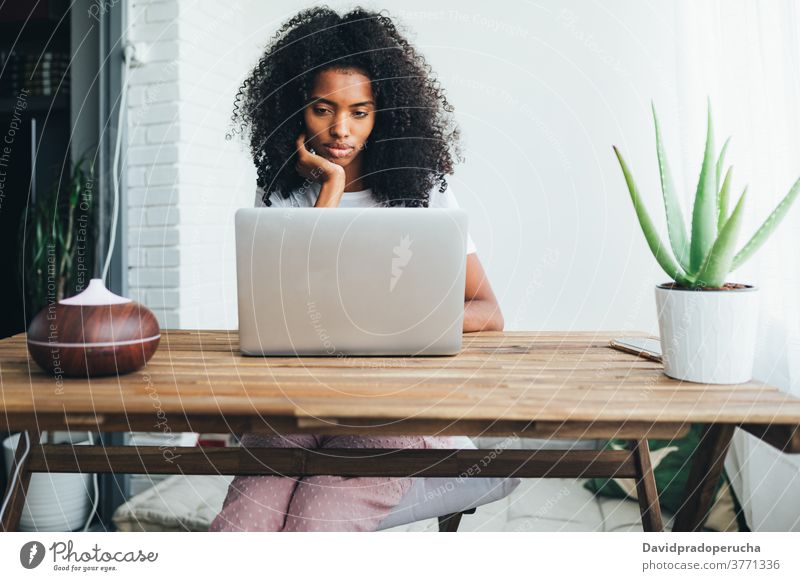 Junge schwarze Frau mit Laptop zu Hause benutzend heimwärts modern jung gemütlich ruhen soziale Netzwerke Wochenende Luftbefeuchter Pflanze Konzentration Topf