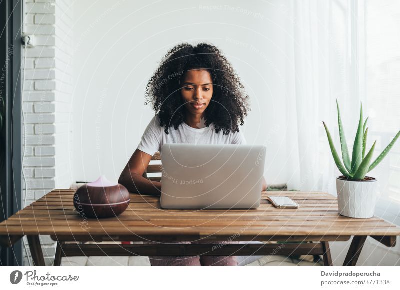 Junge schwarze Frau mit Laptop zu Hause benutzend heimwärts modern jung gemütlich ruhen soziale Netzwerke Wochenende Luftbefeuchter Pflanze Konzentration Topf
