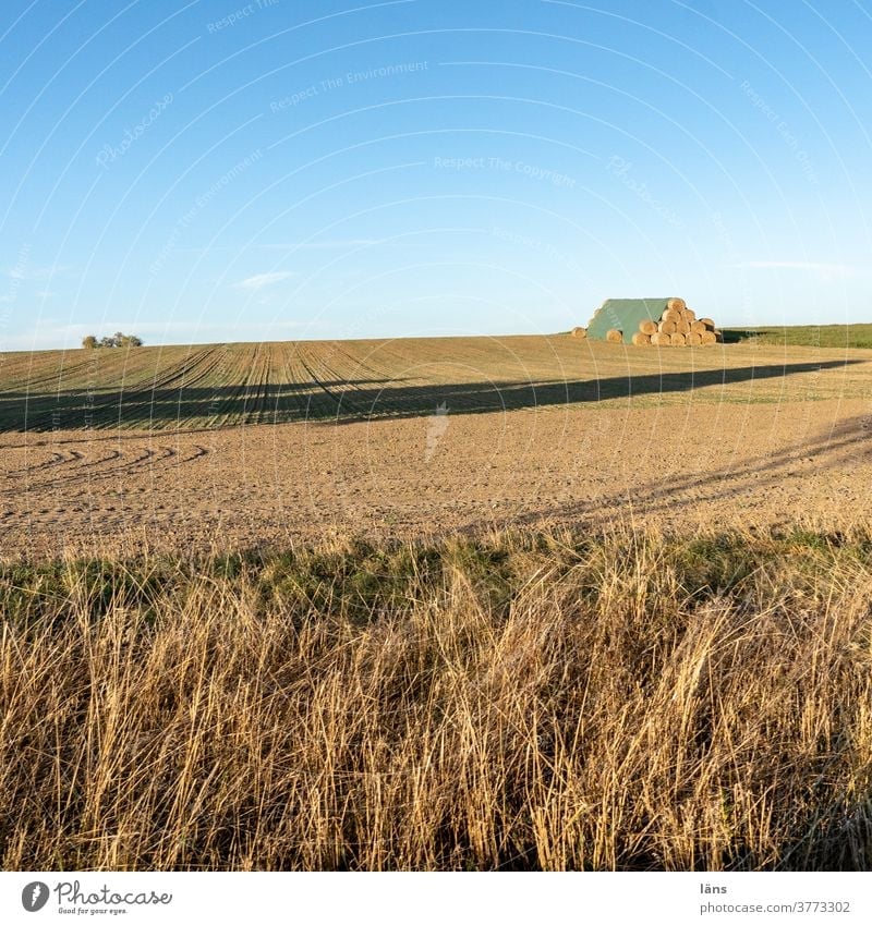 Landwirtschaft l lebensnotwendig Ackerbau Ernte Strohrolle Strohballen Feld Menschenleer Getreide Außenaufnahme Horizont Schönes Wetter