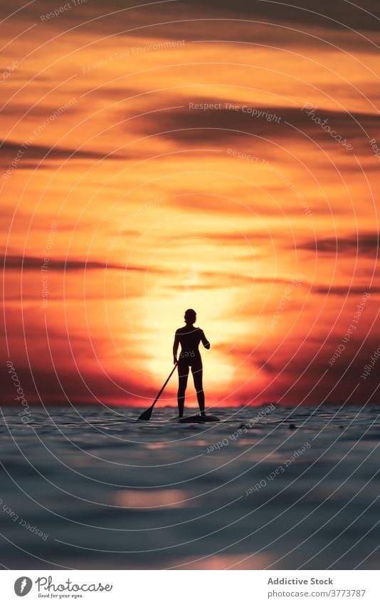 Anonyme Frau beim Üben auf dem Paddelbrett bei Sonnenuntergang Surfer Zusatzplatine Silhouette Reihe MEER Training Surfbrett Sommer Holzplatte sportlich stehen