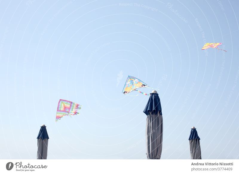 Reihe von Spielzeugdrachen, die über geschlossenen Sonnenschirmen mit Kopierraum fliegen Drachen blau Himmel Sommer MEER Strand Kindheit Spaß spielen Freizeit