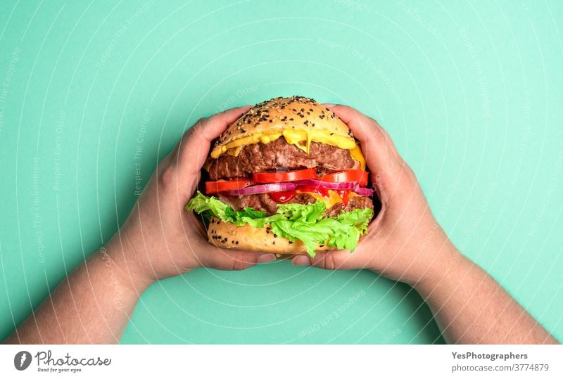 Burger mit beiden Händen gehalten. Hamburger auf grünem Hintergrund. obere Ansicht Barbecue grillen Rindfleisch groß Brot Brötchen Cheddar Käse Cheeseburger