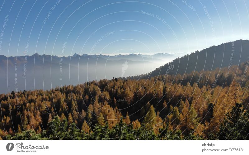 herbstln duats Umwelt Natur Landschaft Himmel Wolken Horizont Sonne Sonnenlicht Herbst Schönes Wetter Nebel Pflanze Baum Lärche Wald Hügel Alpen