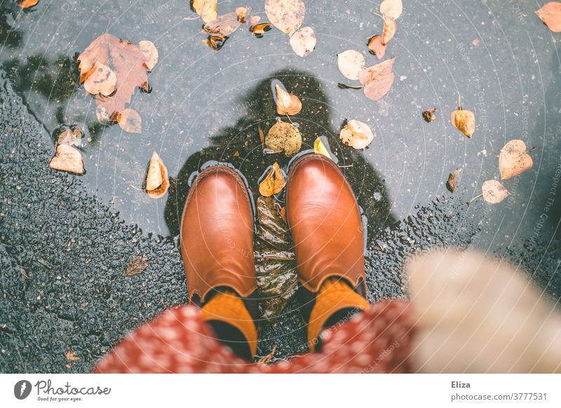Herbst. Füße mit Stiefeln stehen in einer Pfütze mit Laub Herbstlaub Wasser Regen herbstlich nass Frau Kleid Herbstfarben Herbstfärbung Regenwetter