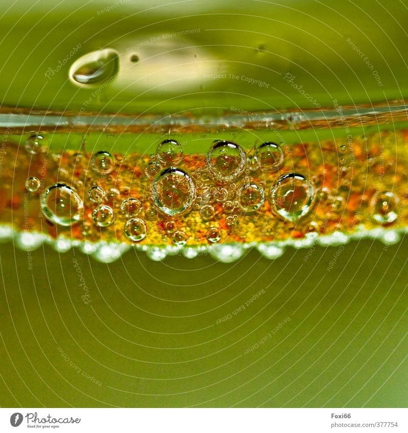 Fruchtcocktail Kiwi Diät Getränk Wasser Tropfen Wasserblase Blase sprudelnd beobachten entdecken Flüssigkeit frisch Gesundheit kalt nass braun gelb grün