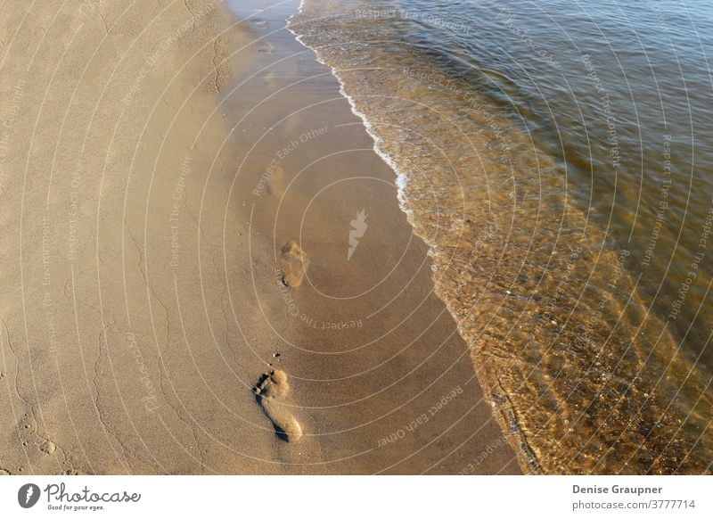Fussabdrücke im Sand an der Ostsee Usedom Strand Urlaub baltisch Natur MEER Sommer Wasser Sonne Küste Ufer Himmel Spaziergang Meer Landschaft reisen Fußspuren