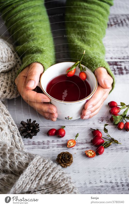 Frau hält eine Tasse mit Hagebuttent Tee in ihren Händen Herbst Schwache Tiefenschärfe Heißgetränk Hygge halten wärmen Winter Vitamin Wollpullover grün rot