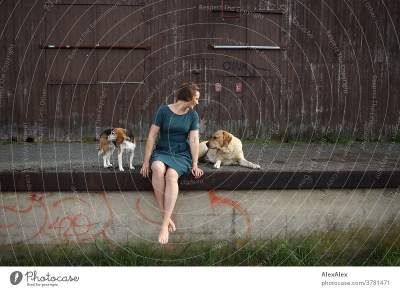 Junge Frau in einem türkisen Kleid sitzt mit einem Beagle und einem Labrador auf einer Laderampe Erwartung Farbfoto Blick in die Kamera einzigartig Sommer