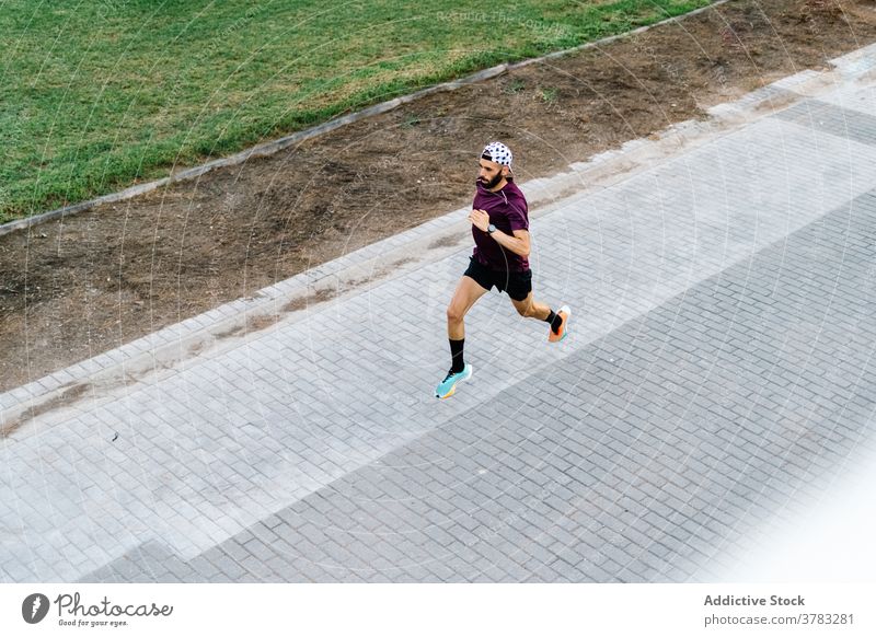 Männlicher Athlet läuft auf Asphaltstraße im Park laufen par Läufer Training Mann Herz Sportler Sommer Aktivität männlich urban Hügel Sportkleidung Fitness