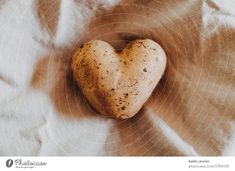 Herz aus Kartoffel - auf hellem Stoff Gemüse Gesunde Ernährung Vegetarische Ernährung Lebensmittel Bioprodukte Vegane Ernährung Foodfotografie