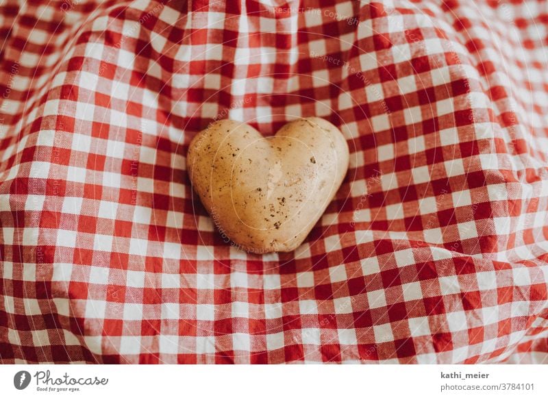 Herz aus Kartoffel - auf Karo Gemüse Gesunde Ernährung Vegetarische Ernährung Lebensmittel Bioprodukte Vegane Ernährung Foodfotografie