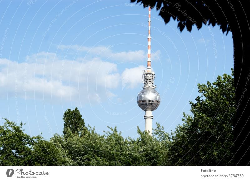 Spargel mit Salat - oder der Berliner Fernsehturm ragt zwischen viel Grün in den blauen sommerlichen Himmel Alexanderplatz Wahrzeichen Turm Architektur