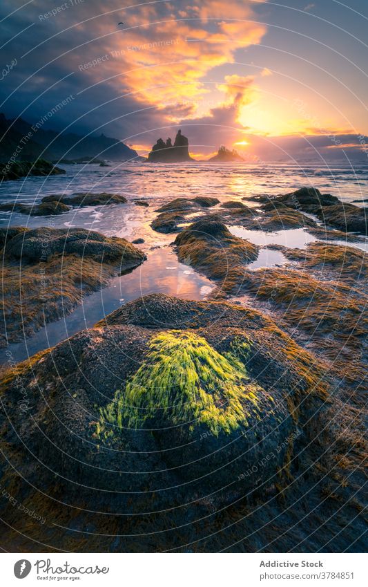 Felsiges Meeresufer unter abendlichem Himmel Ufer MEER Sonnenuntergang lebhaft Felsen Stein Strand Windstille Farbe Kanarische Inseln Spanien Teneriffa Küste