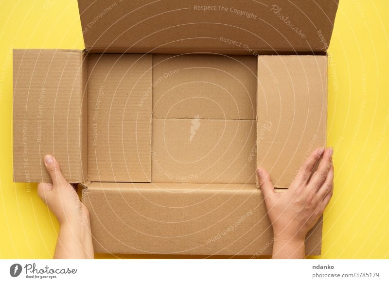 Frauenhände halten eine leere offene Schachtel aus braunem Karton, Draufsicht Gesäß Kasten Business Ladung sich[Akk] bewegen Hintergrund blanko Kaukasier