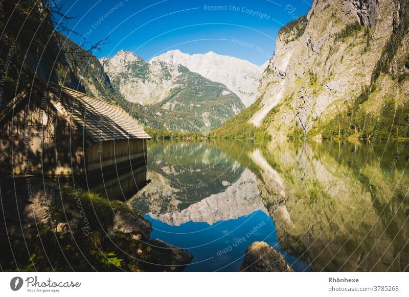 Wunderschöne Spielgelungen der Berge im Obersee am Königssee See Wasser Natur Landschaft Menschenleer Umwelt Berge u. Gebirge Farbfoto Außenaufnahme