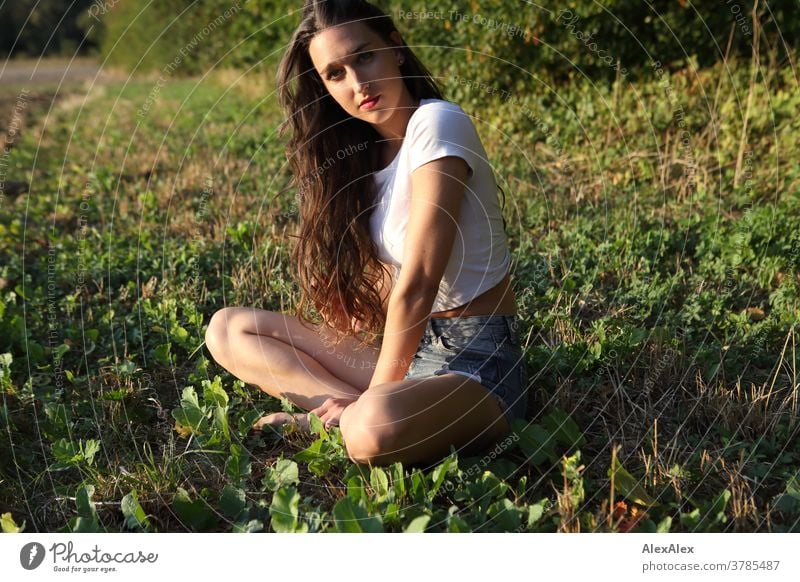 Portrait einer jungen Frau, die am Feldrand vor einem Wald sitzt schön nah fit anmutig Haut Gesicht schauen direkt langhaarig schlank sportlich 18-30 Jahre