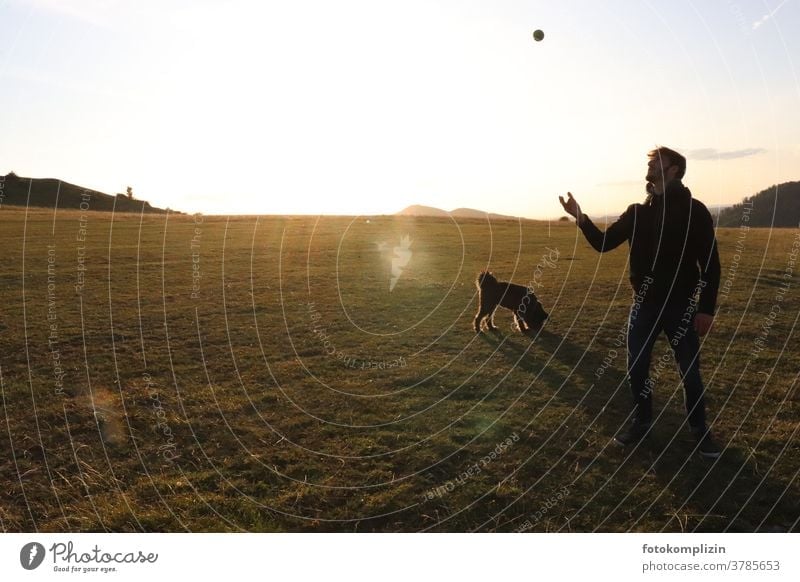 Junger Mann mit Ball spielend und Hund auf weiter Wiese junger Mann Mensch freizeitgestaltung Außenaufnahme Spielen Mensch und Hund schwarzer hund Tierliebe
