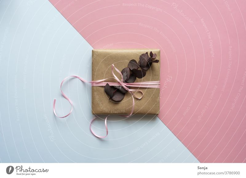 Ein Geschenk mit rosa Schleife und Eukalyptus auf einen rosa und weißen Hintergrund Geburtstag Weihnachten & Advent Menschenleer Verpackung Paket Vorfreude