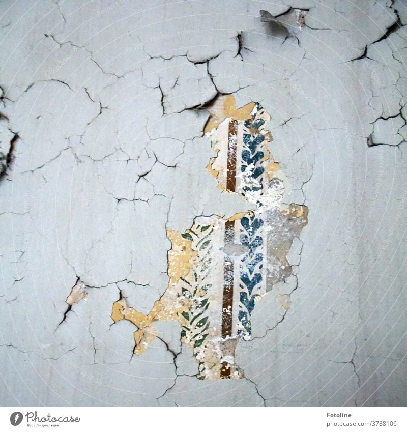 Ein kleiner Tapetenrest an einer Wand zeugt von vergangenem Glanz an einer bröckelnden Wand in einem Lost Place lost places alt Farbfoto Menschenleer