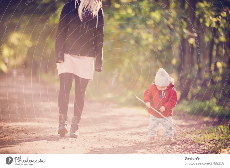 Mutter und Kind machen einen herbstlichen Spaziergang Familie Mama Sohn Wald zusammen Liebe gemeinsam spielen Stock Eltern Kleinkind