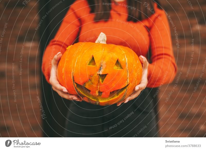 Ein großer Kürbis in den Händen eines Mädchens zu Halloween. Nahaufnahme. Herbst Straße Feiertag Laterne zusammenstellen schwarz erschrecken Gesicht Bild