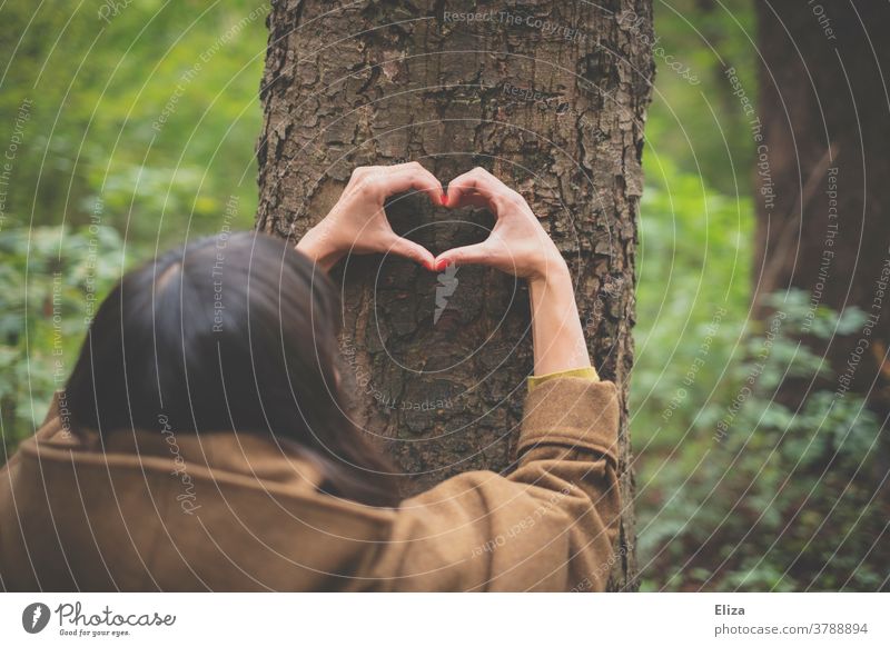 Eine Hand formt ein Herz am Stamm eines Baumes im Wald. Naturschutz. Naturverbundenheit Umweltschutz Liebe Baumstamm Frau Öko Klimaschutz Forstwirtschaft