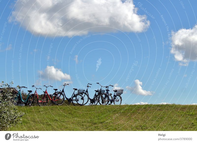 Fahrradparkplatz - viele Fahrräder stehen auf einem Weg vor den Dünen Rad Radfahren Fahrradfahren Außenaufnahme Wiese Wolken Himmel Sträucher Insel Nordseeinsel