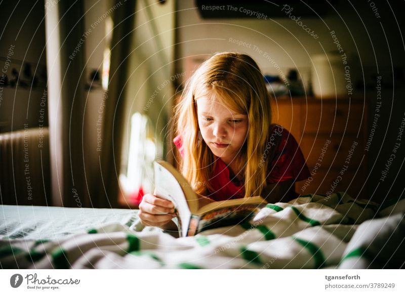 Kind liest Comics Kindheit lesen Lesen eines Buches Porträt Farbfoto Bildung Mädchen Innenaufnahme Konzentration Mensch lernen Wissen Literatur glücklich