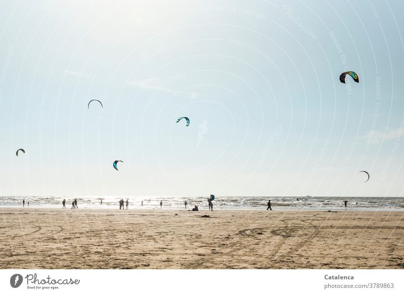 Kiter an einem windigen Tag am Strand Meer Küste Brandung Wellen Nordsee Himmel Horizont Personen Sport Urlaub Kitesurfen Sandstrand Blau Braun