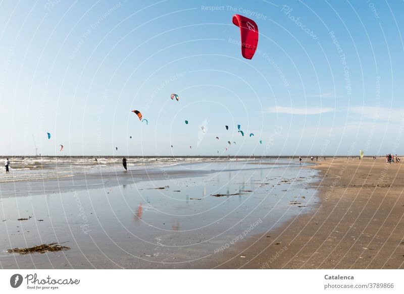 Noch mehr Kiter am Stand an einem windigen Nachmittag Braun Blau Sand Sandstrand Kitesurfen Urlaub Sport Personen Horizont Himmel Nordsee Wellen Brandung Küste