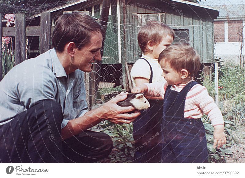 Das Meerschweinchen in Opas Garten. Kind Kindheit Kindheitserinnerung Kindererziehung Mädchen niedlich klein Mensch Spielen Freude Glück Kleinkind Fröhlichkeit