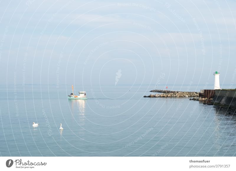 Fischerboot fährt bei Windstille aus dem Hafen zum Fang. Mole Leuchtturm Sommer Horizont Außenaufnahme Wasser Himmel Wolken Meer Küste Ostsee Schifffahrt