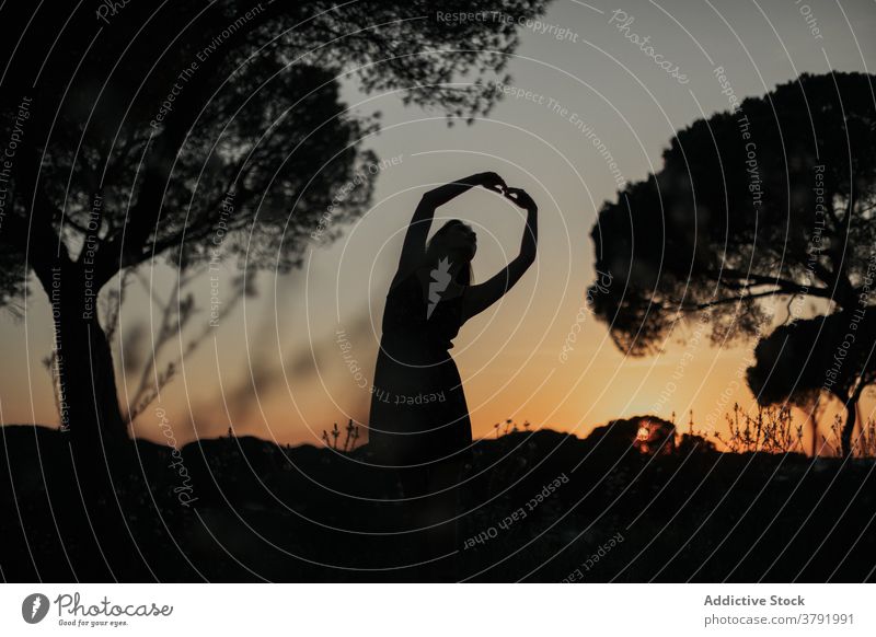 Unerkennbare Balletttänzerin im Park bei Sonnenuntergang Ballerina Silhouette Frau Körperhaltung Anmut Tanzen dunkel Tänzer Island Wiese Abenddämmerung Feld