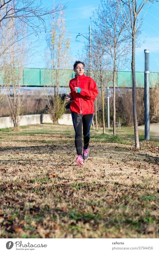 Frontansicht eines Fitness-Mädchens beim Lauftraining im Morgenpark Übung Joggen Park rennen Frau Natur Läufer Jogger Lifestyle 1 Sport Person Training joggen