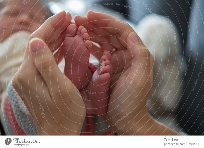 Mutter hält beschützend ihre Hände um die Füße ihres Babys im verschwommenen Hintergrund sieht man das Neugeborene schlafen neugeboren fuesse Mensch klein Kind