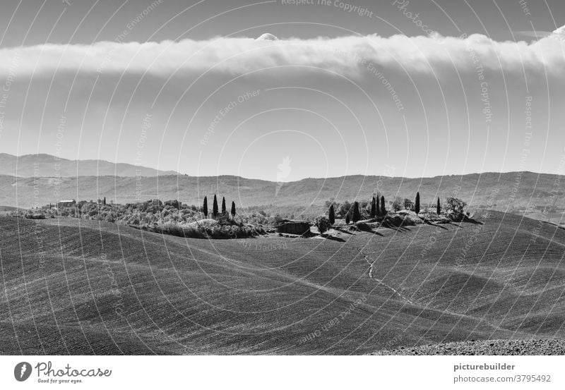Landschaft in der Toskana mit Wolkenband Italien Zypressen Hügel Feld Schönes Wetter Ferien & Urlaub & Reisen Natur Menschenleer Tag Tourismus Textfreiraum oben