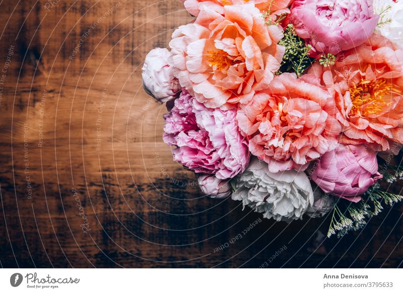 Erstaunlich frischer Strauss rosa Pfingstrosen Haufen Korallen Blume cerise Blumenstrauß Pastell geblümt Blütenblätter Tapete Postkarte Frühling Liebe Sommer