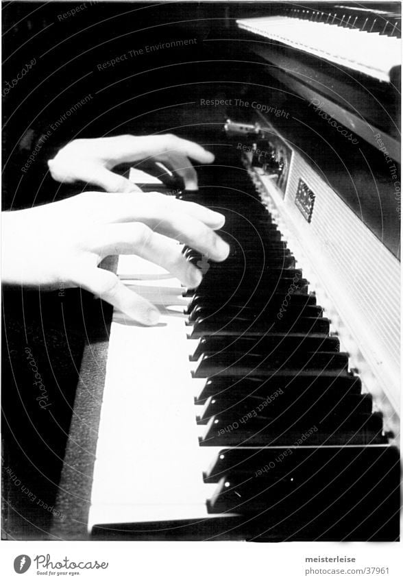 Fender Rhodes 01 Klavier E-piano Hand musizieren Freizeit & Hobby Musik Klaviatur berühren Musikinstrument Schwarzweißfoto