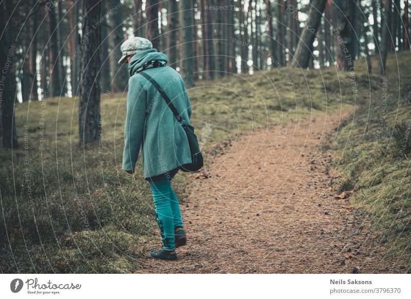 Frau, die in den Wäldern nahe der Ostsee spazieren geht Mantel Hut blau grün Wald nadelhaltig Kiefern Kiefernzapfen Kiefernadeln Nachlauf Weg Serpentinen