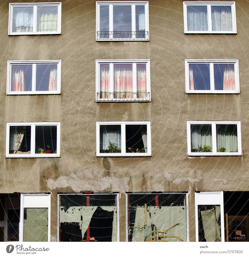 hinter den Fassaden Haus Mauer Wand Bauwerk Straße Plattenbau Tür kaputt Kassel Linien alt trist grau Fenster Armut Ruine Wohnung wohnen Wohnhaus Gardine