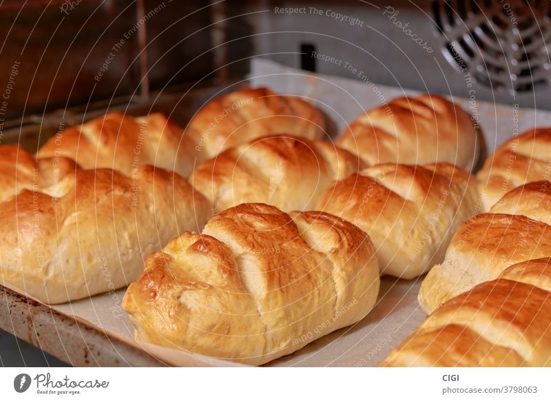 Milchbrot, das nach traditioneller Art auf einem Backblech gebacken wird Brot Lebensmittel melken Bäckerei Gesundheit Frühstück Weizen Brotlaib Brötchen Gebäck