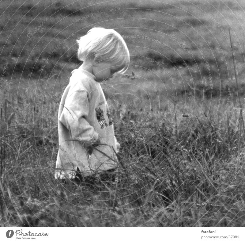 traurig? Kind Trauer Wiese blond Gegenlicht Denken verträumt Gras Traurigkeit Einsamkeit Schwarzweißfoto Junge Haare & Frisuren