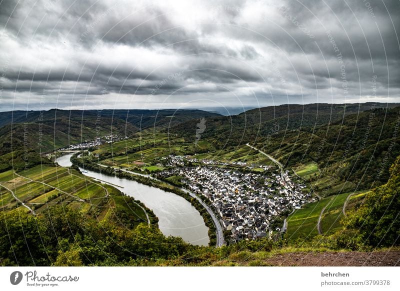 wein wandern Wege & Pfade Hunsrück Moseltal Weinbau Rheinland-Pfalz Mosel (Weinbaugebiet) Weinstock Weinberg Weintrauben Weinrebe Landschaft Berge u. Gebirge