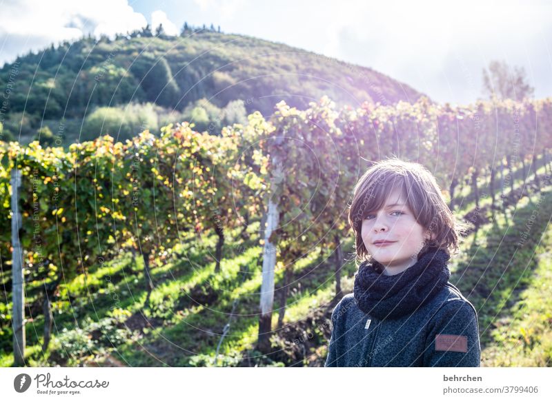 wein wandern Wege & Pfade Hunsrück Moseltal Weinbau Rheinland-Pfalz Mosel (Weinbaugebiet) Weinstock Weinberg Weintrauben Weinrebe Landschaft Berge u. Gebirge