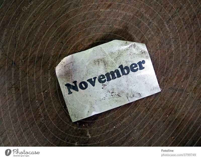 Hallo November - oder auf dem Boden liegt ein Zettel mit der Aufschrift November Monat Blatt Schrift Buchstaben Schriftzeichen Wort Text Menschenleer